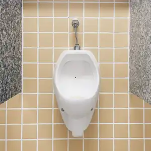 toilet urinate