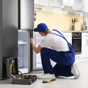 Fridge Repairing