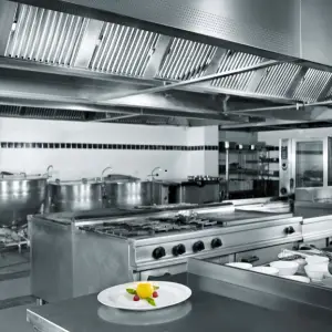 Kitchen Repairing