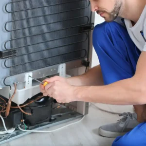 Fridge Repairing