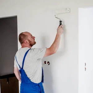 Wall Repairing