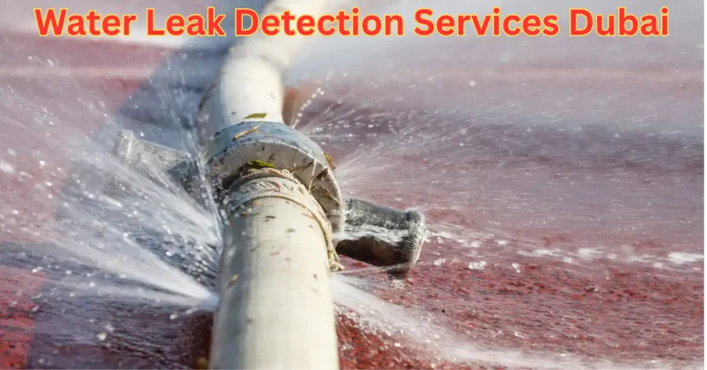 Water Leak Detection Services Dubai