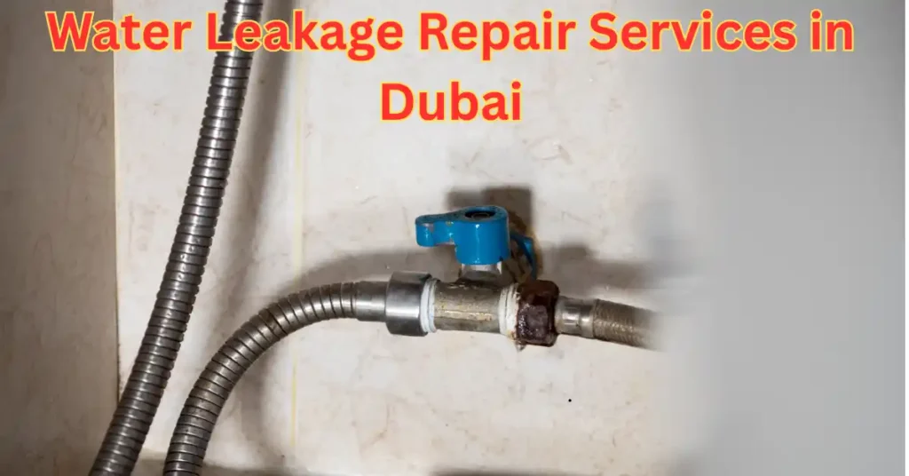 Water Leakage Repair Services
